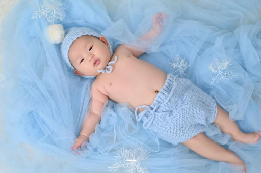 浙江宝宝树怎么样